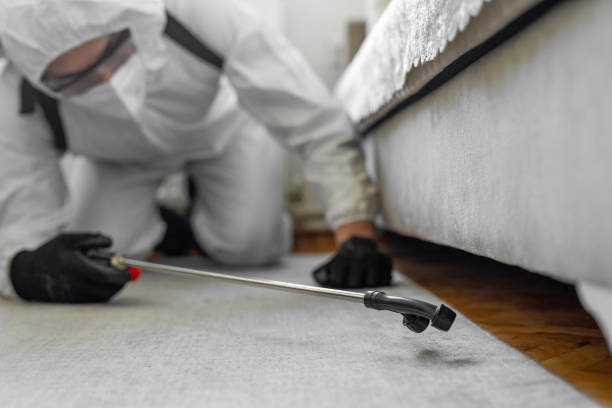 Professional Emergency Pest Control technician working in Elk Grove Village, IL