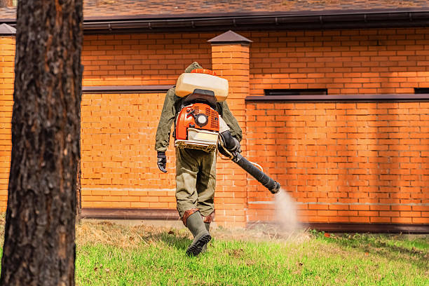 Trusted Mosquito Control service in Elk Grove Village, IL - Nex Pest Control